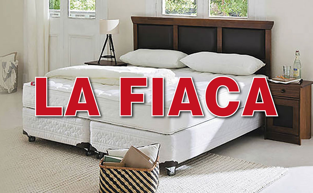 La Fiaca
